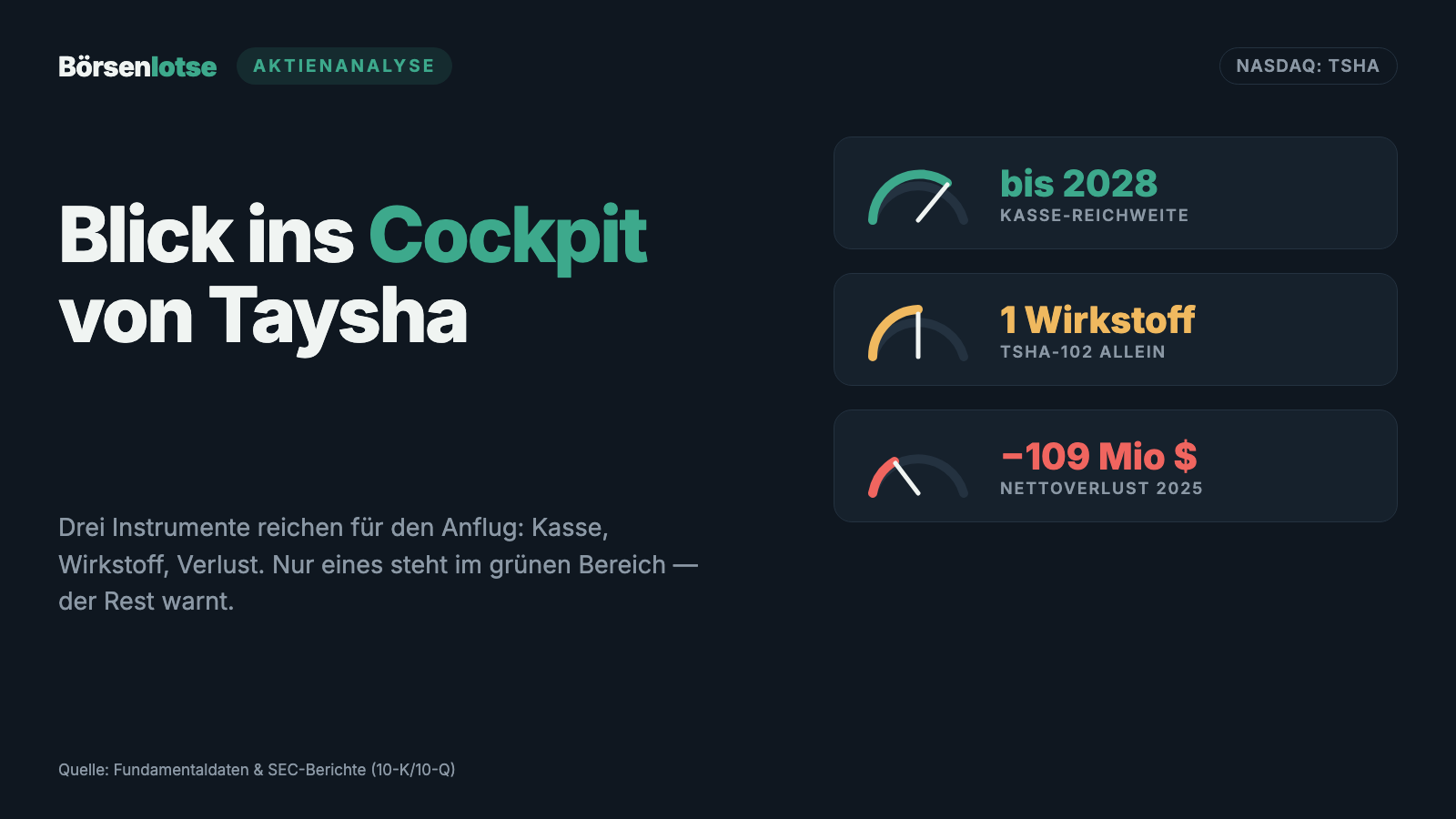 Taysha Stock: The Insolvency Scanner Sounds the Alarm — Yet the Cash Lasts into 2028